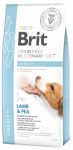 Brit GF veterinaarne toidud koertele, rasvumine, 12 kg