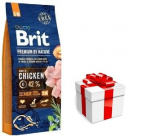 BRIT Premium By Nature Senior S+M 15kg + koeratoit