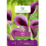 Kalla Chianti ploom 1 tk.