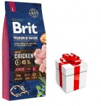 BRIT Premium By Nature Junior L 15kg + koeratoit