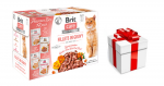 BRIT CARE Kassi fileed kastmes, 12x85g + STAIGMENA KATEI