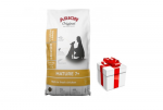 ARION Original Mature 7+ Senior Medium & Large Chicken koerte kuivtoit 12 kg