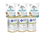 BRIT CARE DOG FUNCTIONAL SNACK RECOVERY HERRING 150g