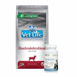 FARMINA Vet Life Dog Gastrointestinal 12 kg + LAB-V Synbiotic Vet &ndash; seedetrakti tervis ja soole mikrofloorad koertele ja kassidele, 45 kapslit