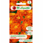 Bolero mahoguni-mee v&auml;rvi levikuv&otilde;&otilde;ras 1 g