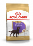 ROYAL CANIN Labrador Retriiver Steriliseeritud Adult 12kg kuivtoit t&auml;iskasvanud, labrador retriiveri t&otilde;ugu, steriliseeritud
