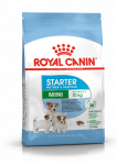 ROYAL CANIN Mini Starter Mother & Babydog 1kg kuivtoit tiinetele ja imetavatele emadele ja kutsikatele, 4 kuni 8 n&auml;dalat, v&auml;ikestele t&otilde;ugudele