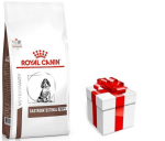 ROYAL CANIN Gastro Intestinal Junior GIJ29 10kg + STAIGMENA KOERTELE