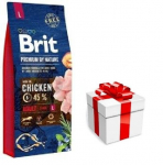 BRIT Premium By Nature Adult L 15kg + koeratoit