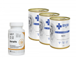 ENZO VET Neerudieet neeruhaiguste korral veiselihaga koertele 3x400g + LAB-V Renalis 45 kapslitj