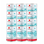 Disugual Veterinary RECOVERY Lamb m&auml;rg lambaliha toit koertele (t&auml;iskasvanud) 12x400g