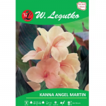 Kanna Angel Martin aprikoos 1 tk.