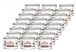 ROYAL CANIN Gastro Intestinal 24x200g purk