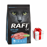 DOLINA NOTECI Rafi Cat kuiv kassitoit lambalihaga 7 kg + &uuml;llatus teie kassile