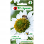 Purpur-Rudbeckia, Echinacea - valge