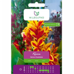 Kanna Reine Charlotte kollane-punane 1 tk.