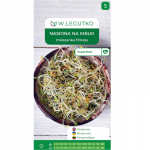 Idusemned &ndash; fitness-segusegu