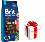 BRIT Premium By Nature Sensitive Lamb 15kg + &uuml;llatus oma koerale