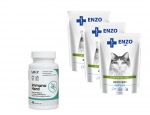 ENZO VET Recovery kassidele 3x100g + LAB-V Immuno Hard 45 kapslit
