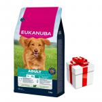 EUKANUBA T&auml;iskasvanud suurte t&otilde;ugude lambaliha ja riis 12 kg + &uuml;llatus teie koerale