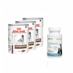 ROYAL CANIN Gastro Intestinal GI25 3x400g purk KOER + LAB-V Synbiotic Vet &ndash; seedimise tervis ja soole mikrofloorad koertele ja kassidele 45 kapslit