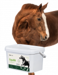 Lab-v EquiVit - dieettoit hobustele, toetab immuunsust ja liigeseid 2kg