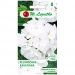 Gama F1 rabat-pelargonia &ndash; valge