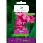 Kanna Eden roosa 1 tk.