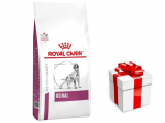 ROYAL CANIN Renal RF 14 14kg + STAIGMENA KUTSE KOERTELE