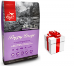 ORIJEN Koerakutsikas Large 11,4kg