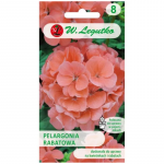 Gama F1 rabat-pelargonia &ndash; l&otilde;hepunane