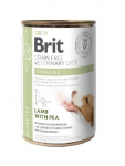 BRIT GF Veterinary Diets Dog Diabetes 400g - m&auml;rgtoit koertele