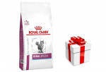 ROYAL CANIN Renal Special Feline RSF 26 2kg + STAIGMENA KATEI