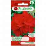 Gama F1 rabat-pelargonia &ndash; punane