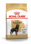 ROYAL CANIN Rottweiler Adult 12kg kuivtoit t&auml;iskasvanud rottveilerite koertele