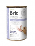 BRIT GF Veterinary Diets Dog Gastrointestinal 400g- m&auml;rgtoit koertele
