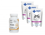 ENZO VET Steriliseeritud vasikaliha kastmes 3x100g + LAB-V Renalis 45 kapslitj