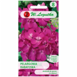 Gama F1 rabat-pelargonia &ndash; violetne