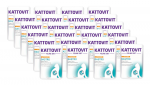 Kattovit Gastro kalkun 24x85g kott