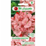 P&otilde;&otilde;saspelargoon Divas F1- Raspberry Ripple - kirju, oranž-punane