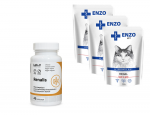 ENZO VET Renal veiselihapulbriga kassidele 3x100g + LAB-V Renalis 45 kapslitj
