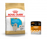 ROYAL CANIN Golden Retriiver Junior 12kg + TASUTA Mr.BIG Junior 400g