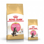 ROYAL CANIN Maine Coon Kitten 2kg kuivtoit kassipoegadele, kuni 15 kuud, Maine coon t&otilde;ugu kassipoegadele