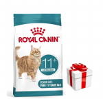 ROYAL CANIN Ageing Sterilised 11+ 2 kg kuivtoit t&auml;iskasvanud kassidele vanuses &uuml;le 11 aasta, steriliseeritud + &Uuml;llatus teie kassile