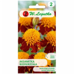 Aksamitka laialehine Orange Flame oranž-pruun 1 g