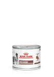 ROYAL CANIN Recovery 24x195g purki