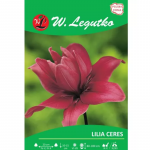 Lilia Ceres roosa 1 tk.