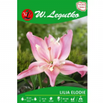 Lilia Elodie roosa 1 tk.