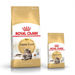 ROYAL CANIN Maine Coon Adult 2kg kuivtoit t&auml;iskasvanud Maine Coon kassidele