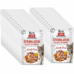 BRIT CARE kasside steriliseeritud fileed kastmes s&uuml;damliku pardiga, mis on rikastatud astelpaju ja nasturtiumiga 85g